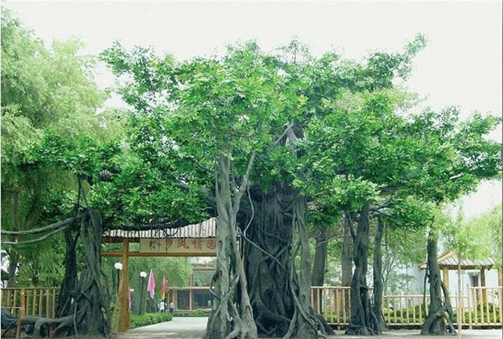 �����٘���T�����T�^��ɽ�T�^����Ř侰�^��ʯɽ�Tˮ���OӋʩ��