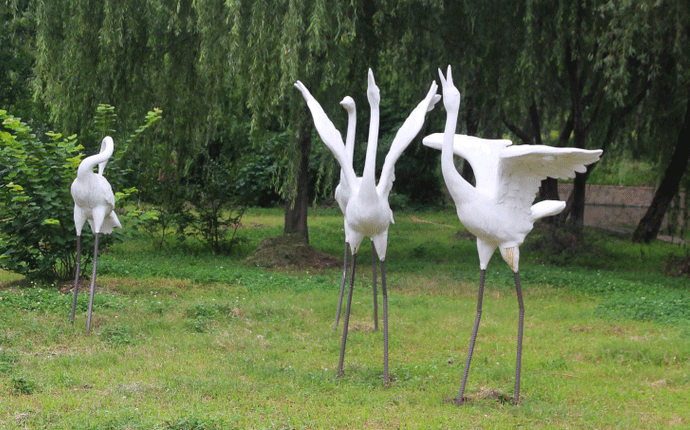 ������ô�@ô�ÿ�������䓵����f��